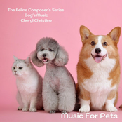 Music For Pets