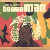 The Magnificent by Beenie Man