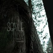 Enlighten Me - Single