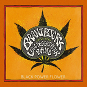 Hustler's Blues by Brant Bjork And The Low Desert Punk Band