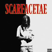 Scarfacetae