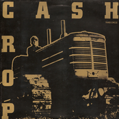 Cash Crop 12"