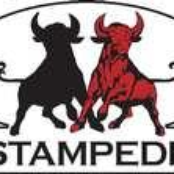 stampede