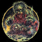 Stripped, Raped and Strangled