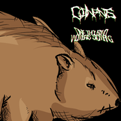 1000 Wombats Stomping