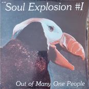 Out of many one people