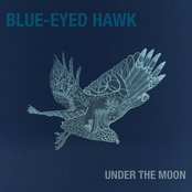blue-eyed hawk