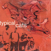 Typical Cats LP
