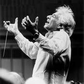 Leonard Bernstein, Wiener Philharmoniker