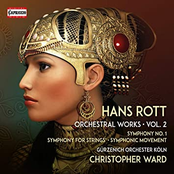 Rott: Complete Orchestral Works, Vol. 2