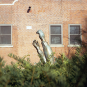 don't let it ruin your life