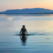 Three Hotdogs and Two Beers