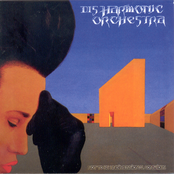 Not To Be Undimensional Consciuos