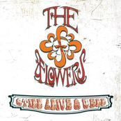 Still Alive and Well