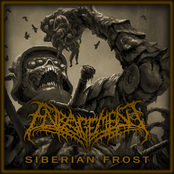 Siberian Frost