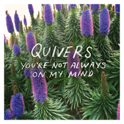 Quivers: You're Not Always On My Mind