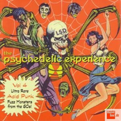 The Psychedelic Experience Vol. 4