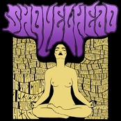 The Crown & The Knife