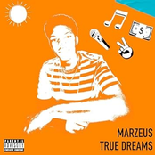 TRUE DREAMS