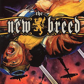 Smoking Gun by The New Breed