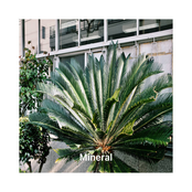 Mineral