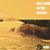 utr019 - whales leave water - last sigh of the nature