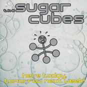 A Day Called Zero by The Sugarcubes