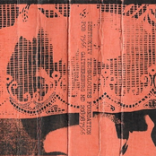 Six girls in search of a heaven