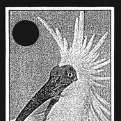 Sacrosanct Pearl Skin