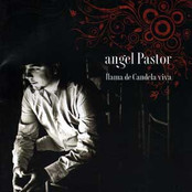 Llama de candela viva