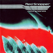 The Sleepless by Red Snapper