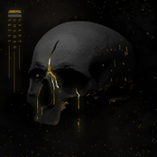 Giant Golden Skull