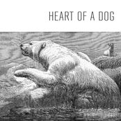 ...with the Head of a Beast