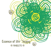 Essence of life "happy"