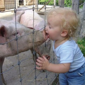 Kissing / Samba Party