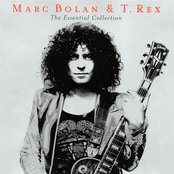 20th Century Boy by T. Rex