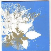 the daylight embraces the world maintaining its distance