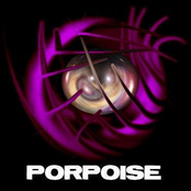 porpoise