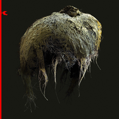 Elegy For The Punk Movement