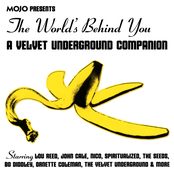 The World's Behind You (A Velvet Underground Companion)