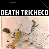 The Brief History Of A Dead Walrus