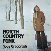 Joey Gregorash: North Country Funk