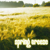 spring breeze