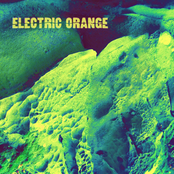 Polyzysten by Electric Orange