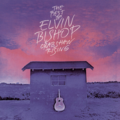 the best of elvin bishop: tulsa shuffle