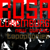 rosa luxemburg new quintet