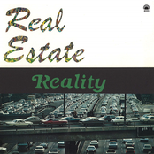 Dumb Luck by Real Estate