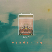 Wandering