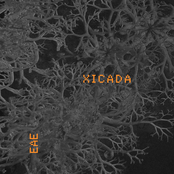 ENGAGING ANIMAL EARTH