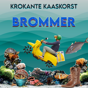 Brommer (in het water gereden)